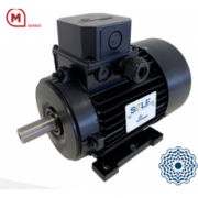 意大利MOTOVARIO電機M系列-自啟動同步電機