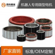 深圳泰科智能機器人關(guān)節(jié)無刷直流伺服電機